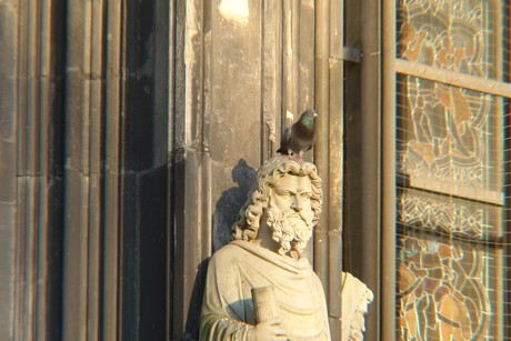 domplatte