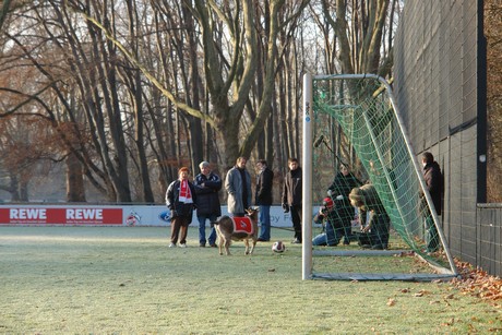 geissbockheim