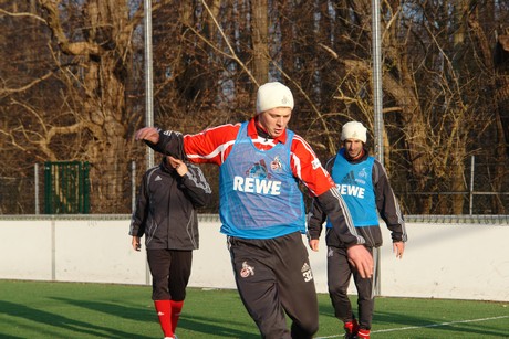 geissbockheim