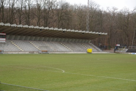 geissbockheim