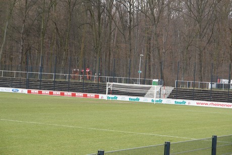 geissbockheim