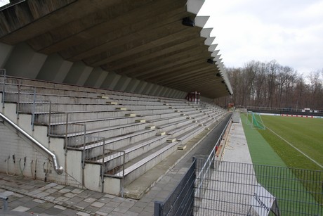 geissbockheim