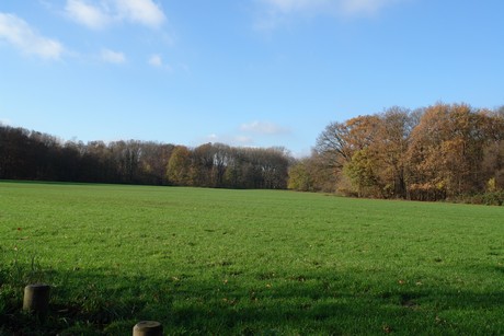 geissbockheim