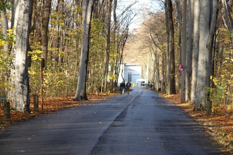 geissbockheim