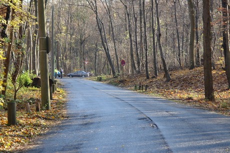 geissbockheim