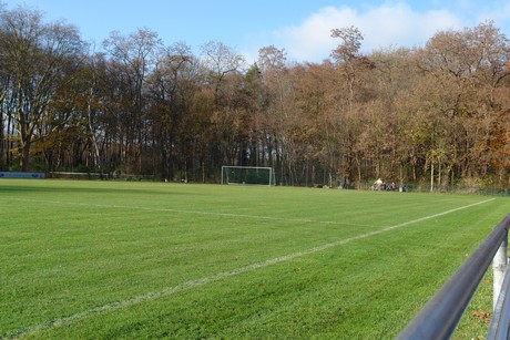 geissbockheim