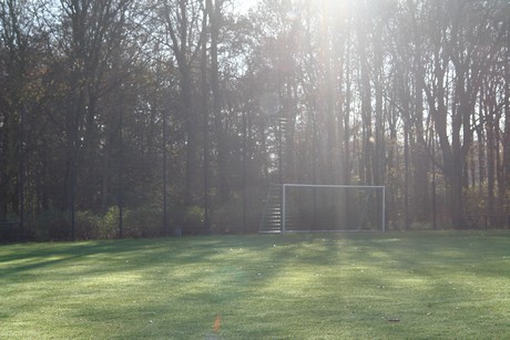 geissbockheim