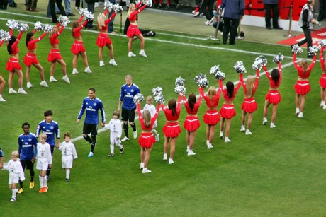 fc-hsv