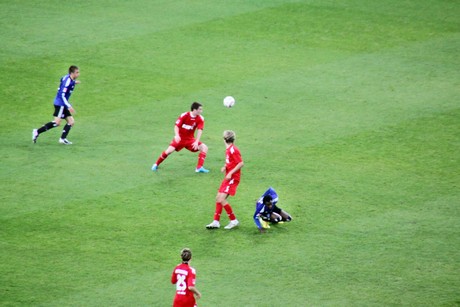 fc-hsv