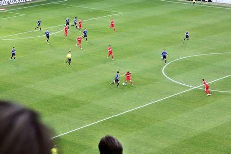 fc-hsv