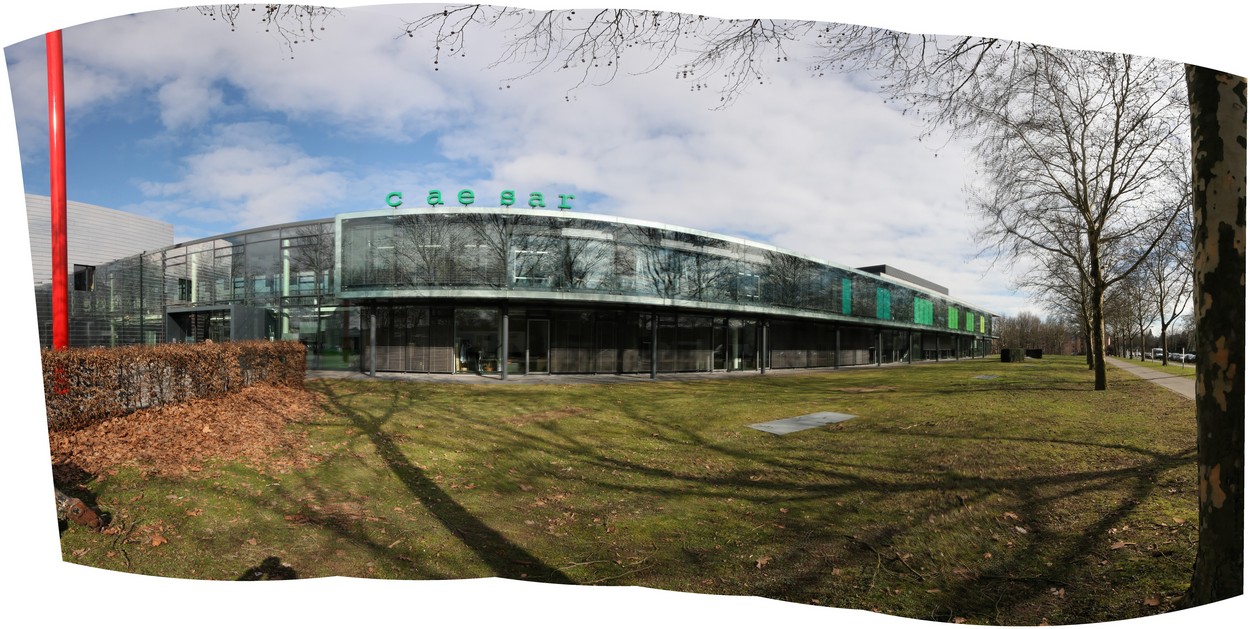 WDR-TATORT "Auskreuzung"