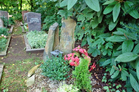 friedhof-bocklemuend