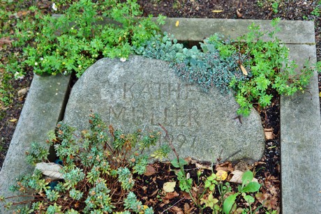 friedhof-bocklemuend