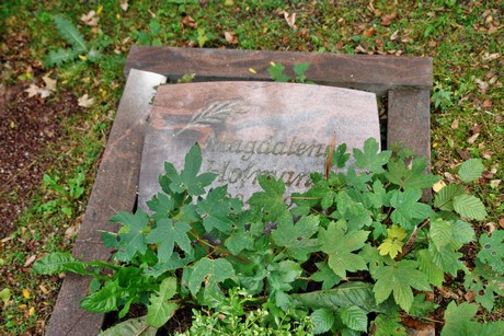 friedhof-bocklemuend