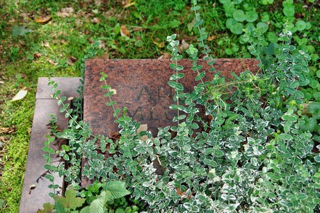 friedhof-bocklemuend