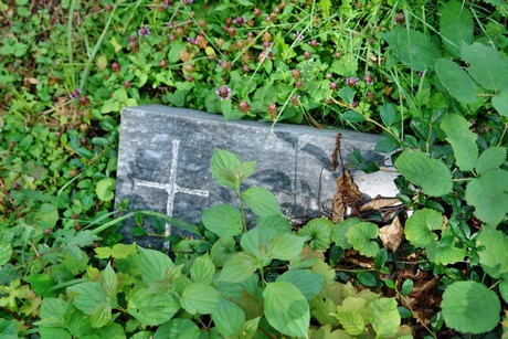 friedhof-bocklemuend