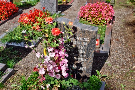 friedhof-bocklemuend