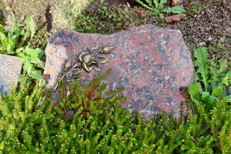 friedhof-bocklemuend