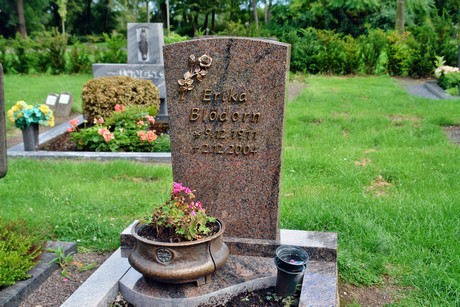 friedhof-bocklemuend