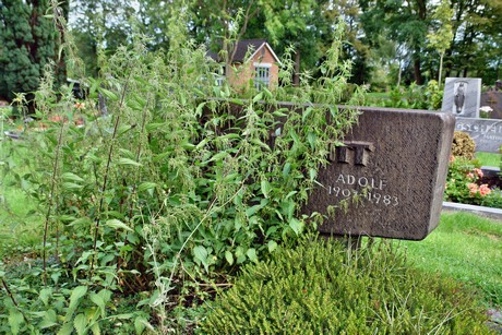 friedhof-bocklemuend