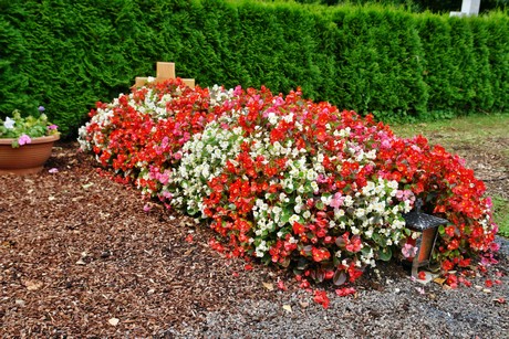 friedhof-bocklemuend