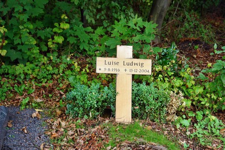 friedhof-bocklemuend