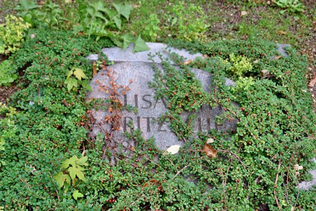 friedhof-bocklemuend