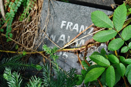 friedhof-bocklemuend