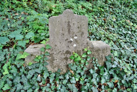 friedhof-bocklemuend