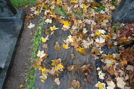 friedhof-rath-heumar