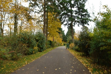 friedhof-rath-heumar