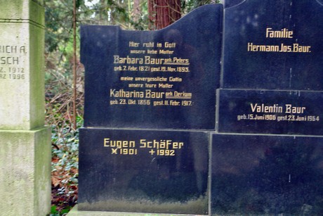 suedfriedhof