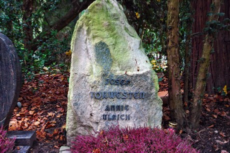 suedfriedhof