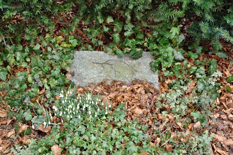 albert-kindle-strasse