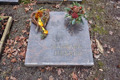 albert-kindle-strasse