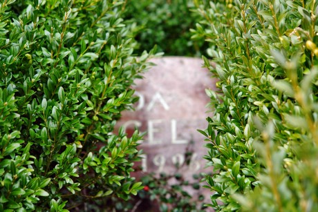 albert-kindle-strasse
