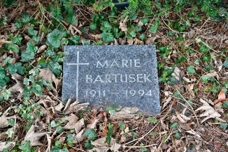 albert-kindle-strasse