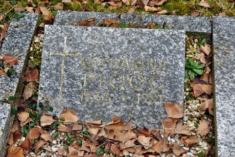 albert-kindle-strasse