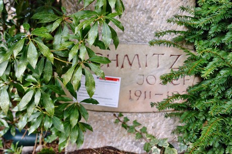 albert-kindle-strasse
