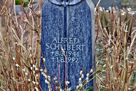 albert-kindle-strasse