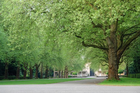 westfriedhof