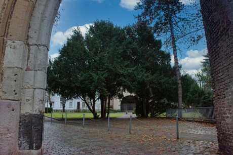 kirche