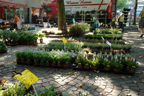 pastor-koenn-platz