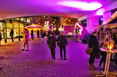 stadtgarten