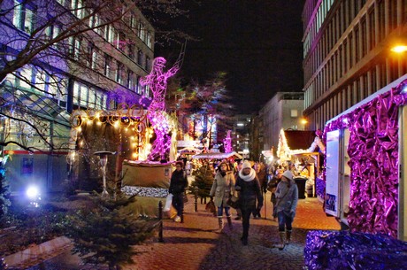 stadtgarten