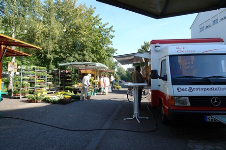 braunsfeld
