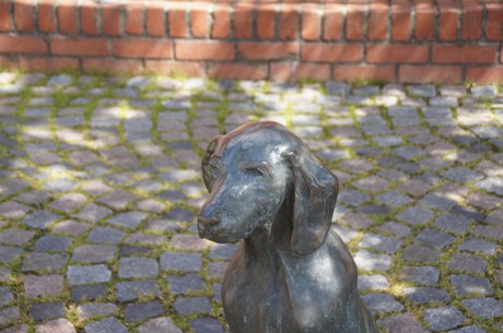 herr-lienhop-mit-weimaraner