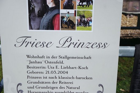 friese-prinzess