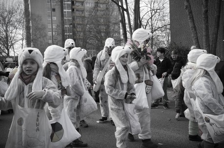 Seehund-Klasse-3b-Donatusgrundschule