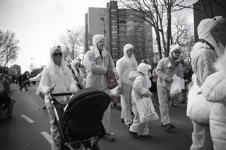 Seehund-Klasse-3b-Donatusgrundschule